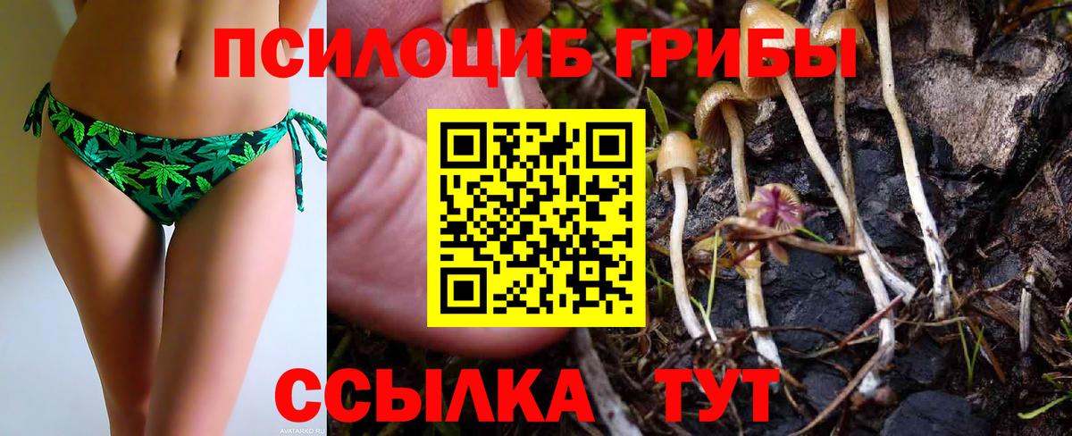 сколько стоит  Галлюциногенные грибы мицелий  Галлюциногенные грибы GOLDEN TEACHER  Вход с VPN  Домодедово 